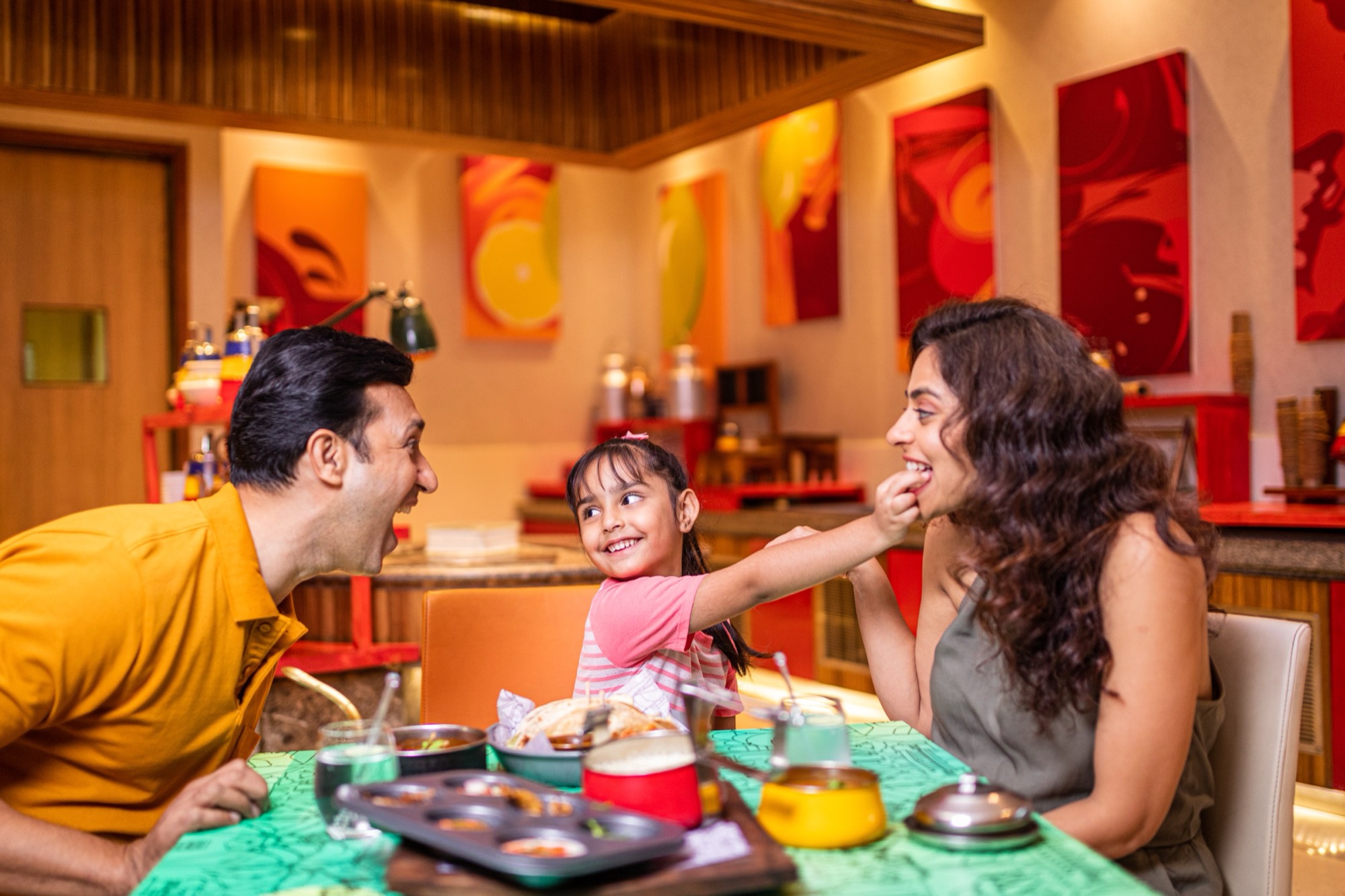 IBIS JAIPUR — still 13