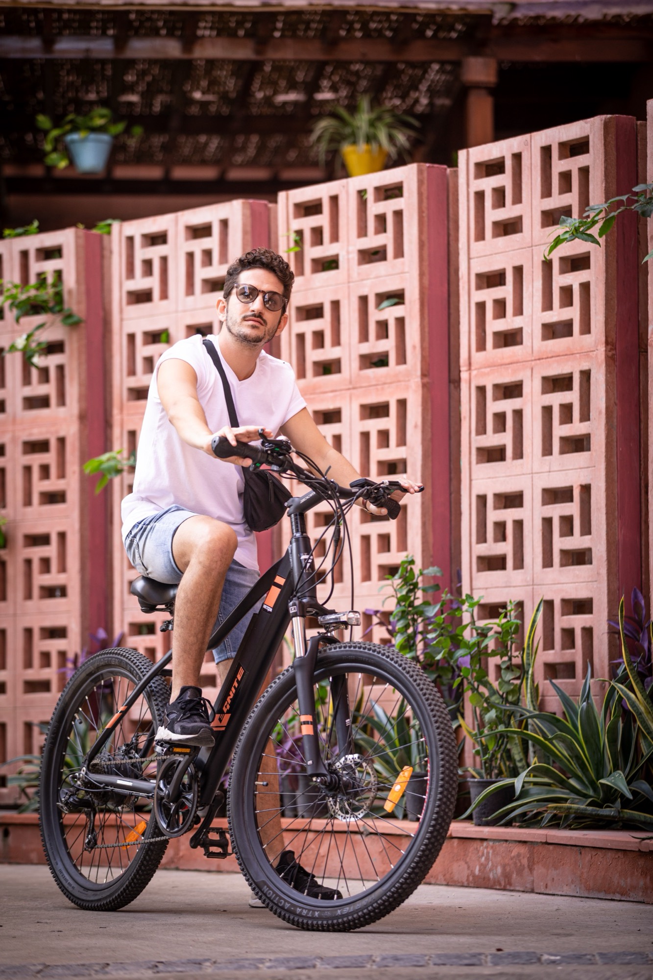 IBIS JAIPUR — still 19